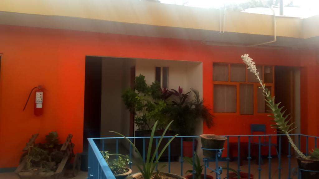 Hostal Zipolite Arteaga Oaxaca Zewnętrze zdjęcie